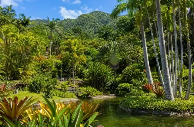 Jardín de Balata
