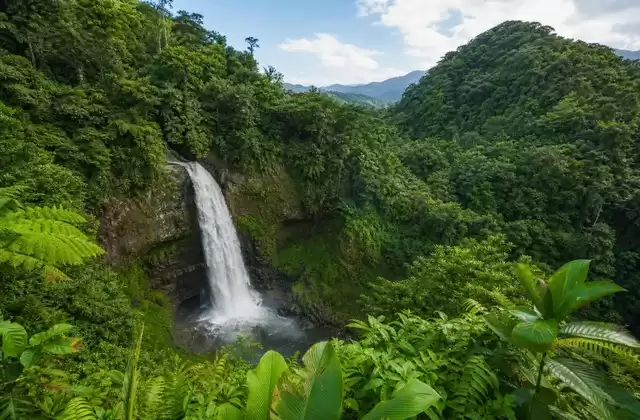 En El Yunque