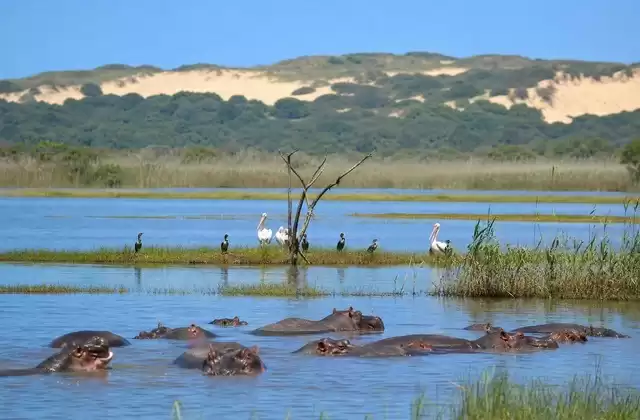 iSimangaliso Wetland Park