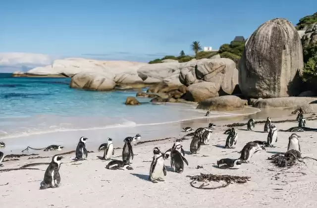 Boulders Beach