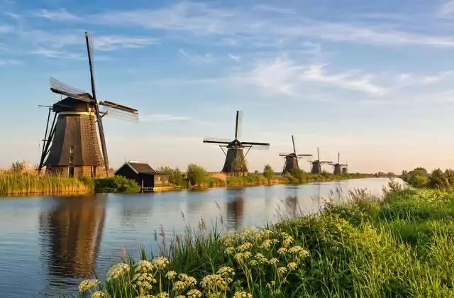Los molinos de Kinderdijk