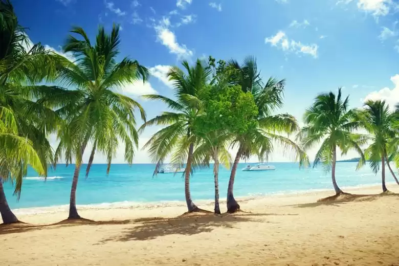 Isla Catalina